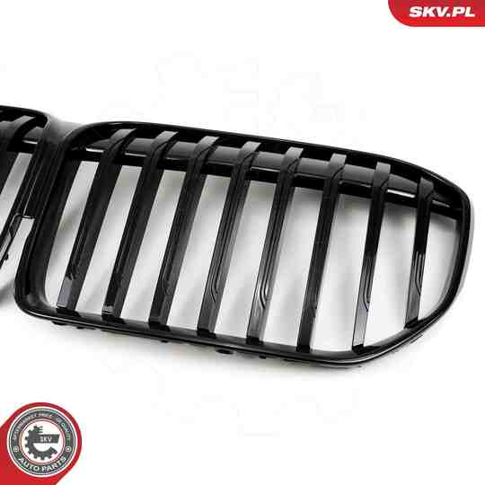 66SKV224 - Radiator Grille 