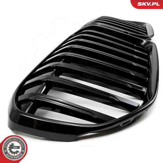 66SKV224 - Radiator Grille 