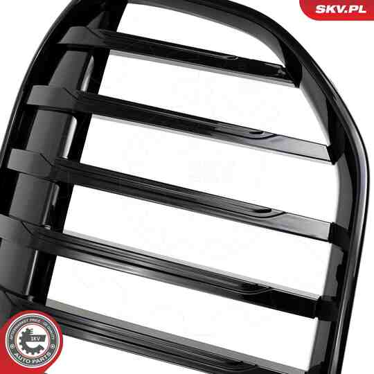 66SKV224 - Radiator Grille 