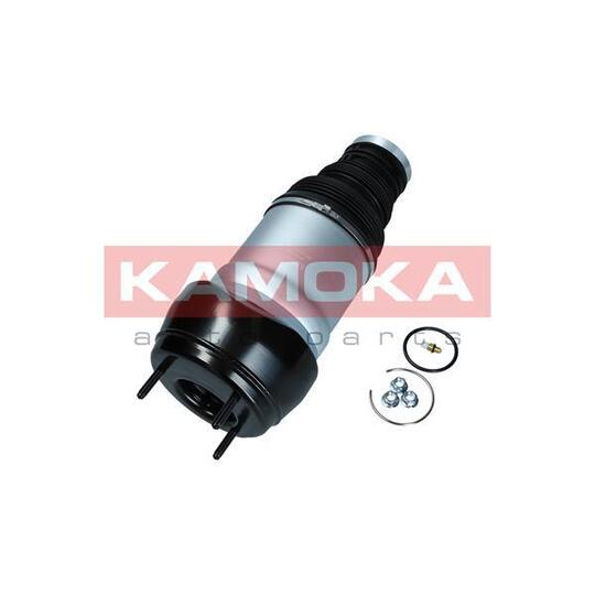 Air Spring, suspension