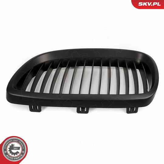 66SKV105 - Radiator Grille 