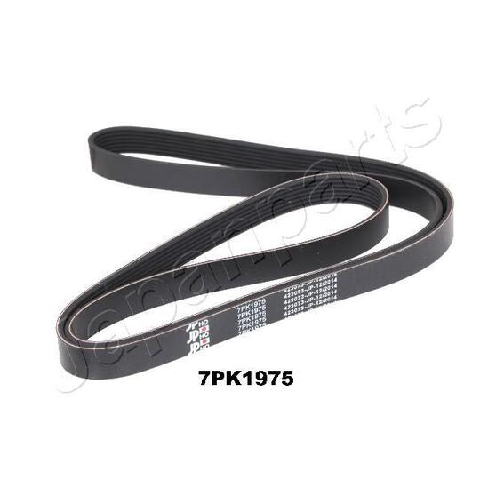 DV-7PK1975 - V-Ribbed Belt 