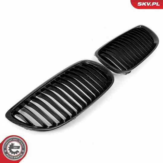 66SKV106 - Radiator Grille 