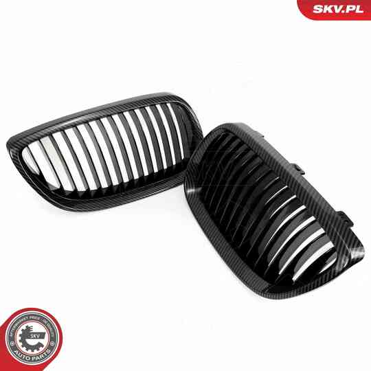 66SKV106 - Radiator Grille 