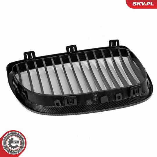 66SKV106 - Radiator Grille 