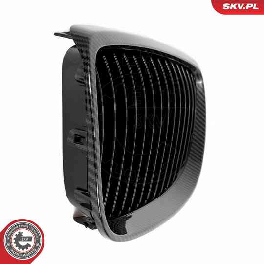 66SKV106 - Radiator Grille 