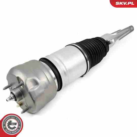 58SKV707 - Air Spring Strut 