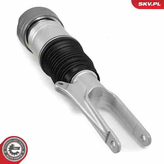 58SKV707 - Air Spring Strut 