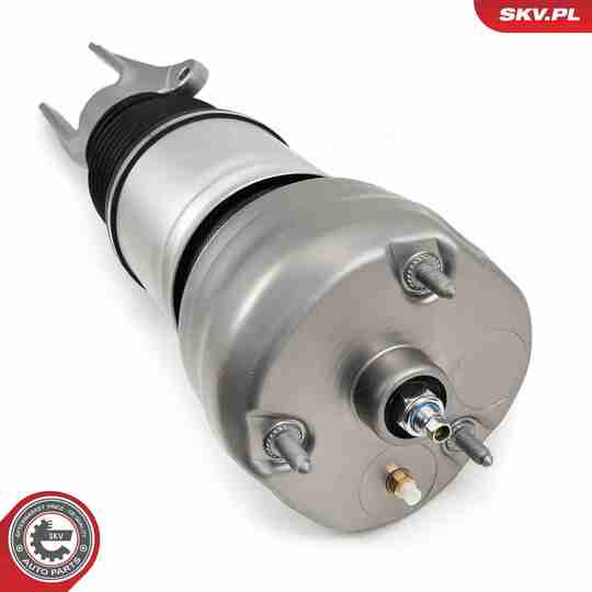 58SKV707 - Air Spring Strut 