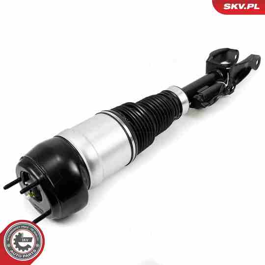 58SKV717 - Air Spring Strut 