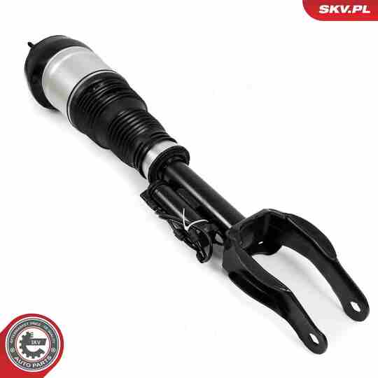 58SKV717 - Air Spring Strut 