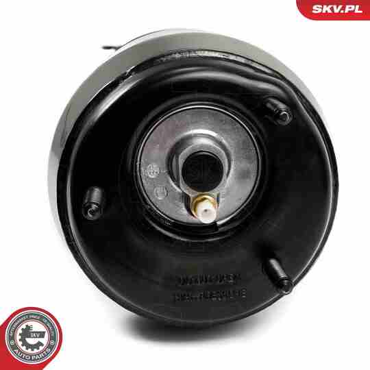 58SKV717 - Air Spring Strut 