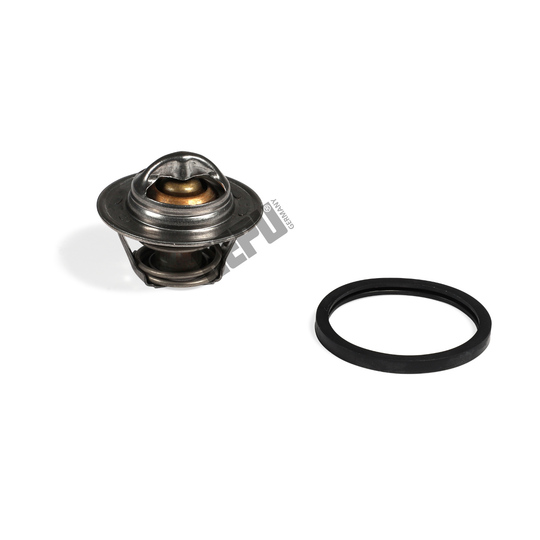 TM1001 - Thermostat, coolant 