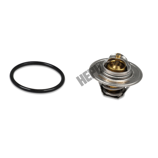 TM1243 - Thermostat, coolant 