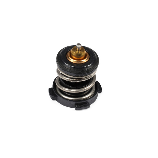 TM1246 - Thermostat, coolant 