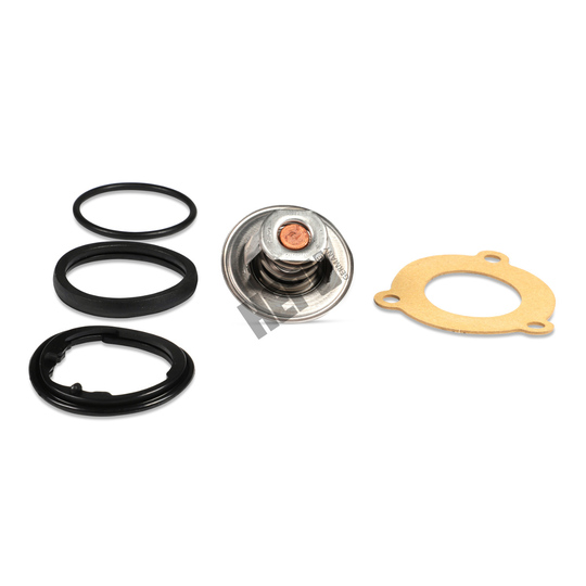 TM1306 - Thermostat, coolant 