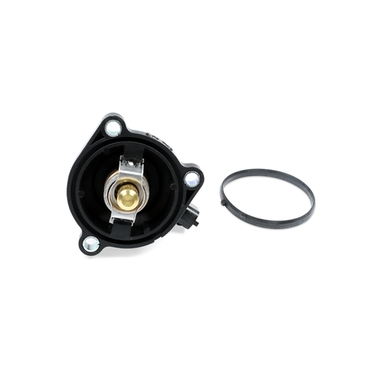 TM1100 - Thermostat, coolant 