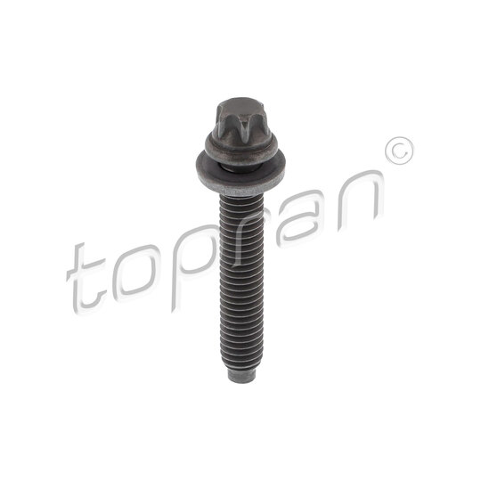 504 538 - Screw 