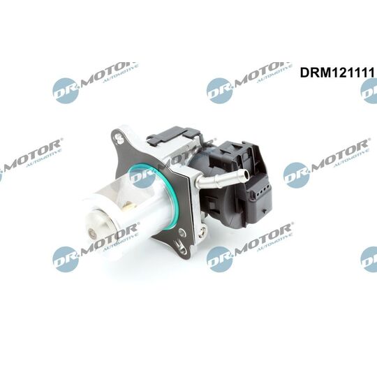 DRM121111 - EGR Valve 