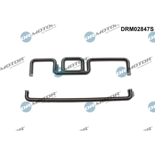 DRM02847S - Gasket, timing case 