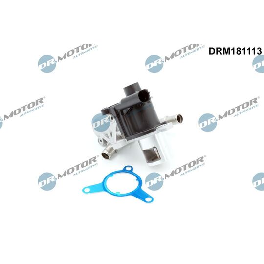 DRM181113 - EGR Valve 