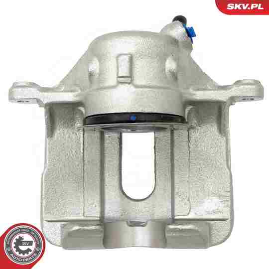 67SKV201 - Brake Caliper 