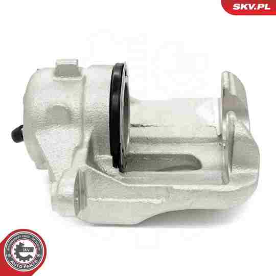 67SKV201 - Brake Caliper 