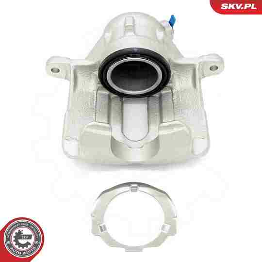 67SKV201 - Brake Caliper 