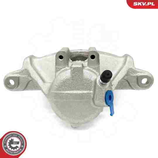 67SKV201 - Brake Caliper 