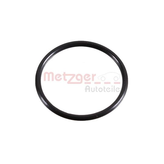 2430048 - Seal Ring 