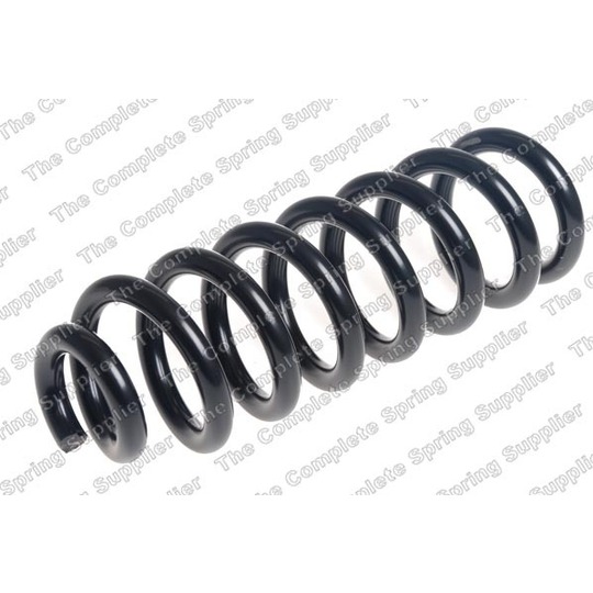 4256926 - Coil Spring 