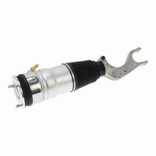 V58-50-0001 - Air Spring Strut 