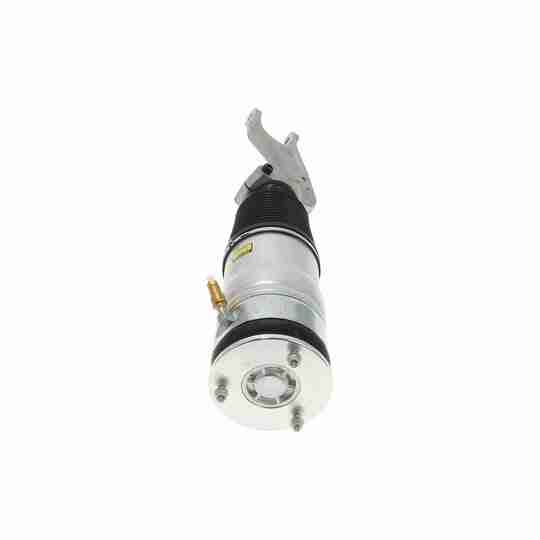 V58-50-0001 - Air Spring Strut 