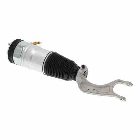 V58-50-0001 - Air Spring Strut 