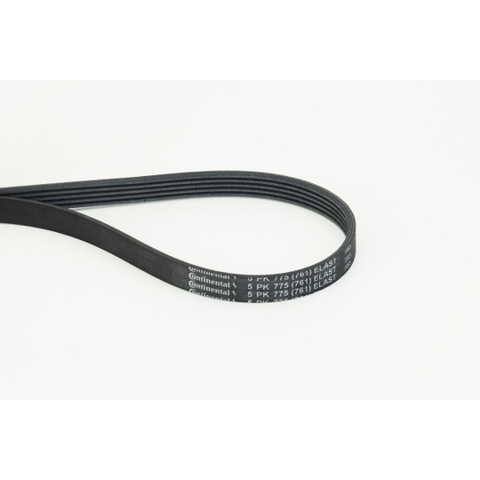 5PK775 ELAST - V-Ribbed Belt 