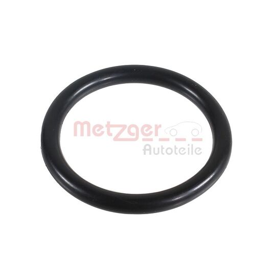 2430002 - Seal Ring 