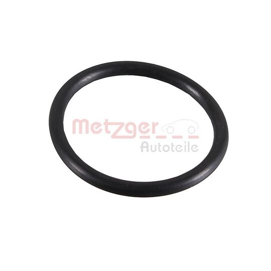 2430032 - Seal Ring 