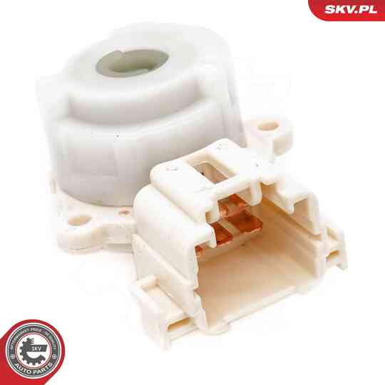 65SKV005 - Ignition-/Starter Switch 