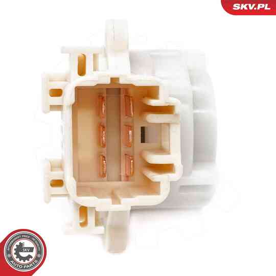 65SKV005 - Ignition-/Starter Switch 