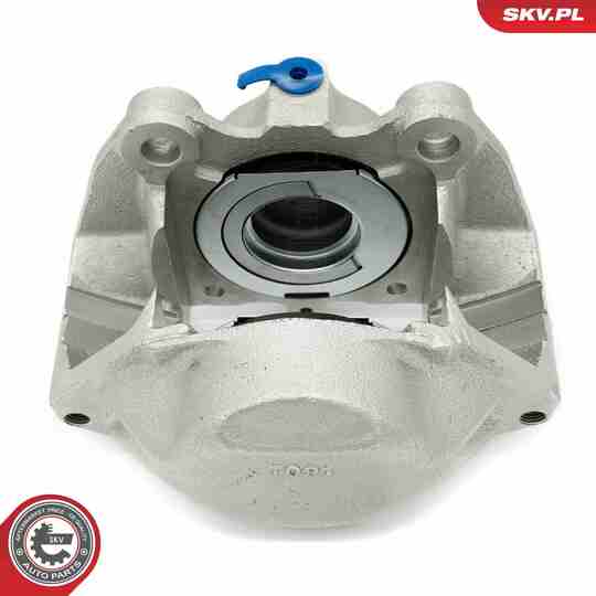 67SKV162 - Brake Caliper 