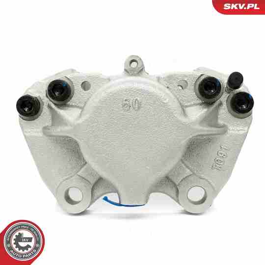 67SKV162 - Brake Caliper 