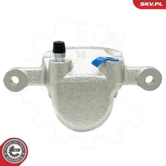 67SKV304 - Brake Caliper 