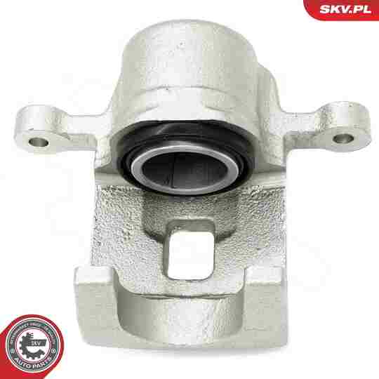 67SKV304 - Brake Caliper 