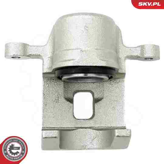 67SKV304 - Brake Caliper 