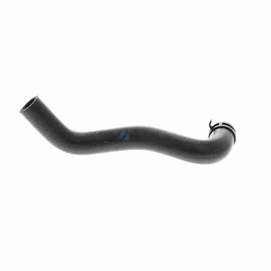 V30-4221 - Radiator Hose 