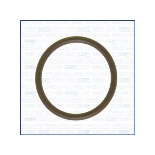 16017000 - Seal, coolant tube 