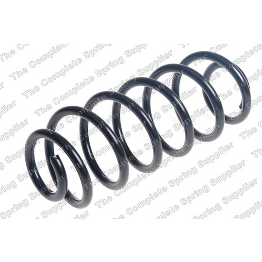 4244250 - Coil Spring 