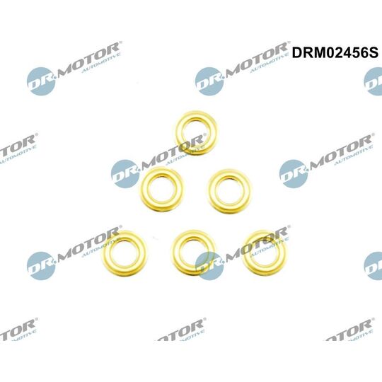 DRM02456S - Heat Shield, injection system 