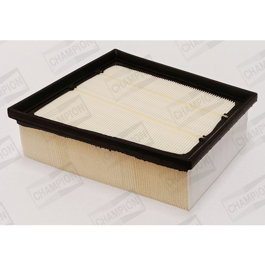 CAF101216P - Air filter 