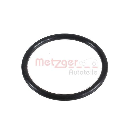 2430047 - Seal Ring 